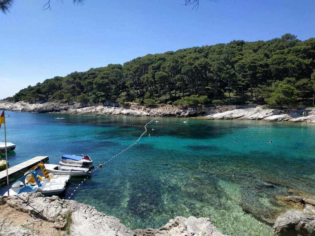 Proizd Island Croatia tranquil anchorage with yachts moored near pine forest shoreline